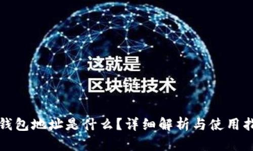 TP钱包地址是什么？详细解析与使用指南