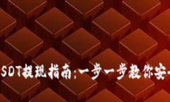 芝麻钱包USDT提现指南：一