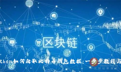 : Python如何爬取比特币钱包数据：一步步教程与案例