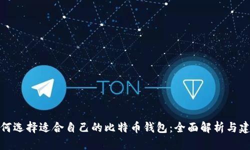 如何选择适合自己的比特币钱包：全面解析与建议