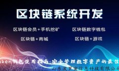 B Token钱包使用指南：安全