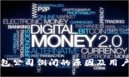 比特币钱包公司倒闭的原因及用户应对策略