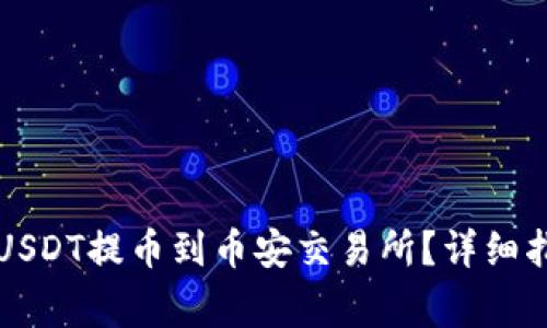 如何通过TP钱包将USDT提币到币安交易所？详细指南与常见问题解析