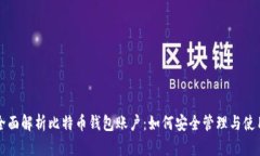 全面解析比特币钱包账户