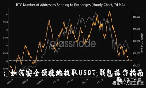: 如何安全便捷地提取USDT：钱包操作指南
