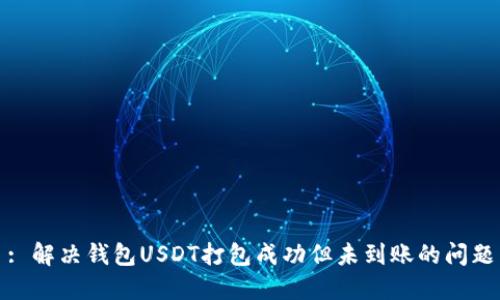 : 解决钱包USDT打包成功但未到账的问题