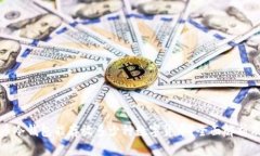 瑞波币冷钱包能存放多少