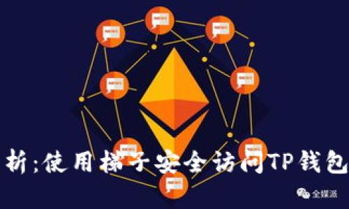 全面解析：使用梯子安全访问TP钱包的方法