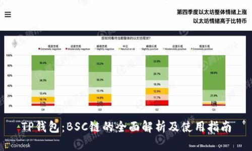 TP钱包：BSC链的全面解析及使用指南