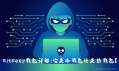 BitKeep钱包详解：它是冷钱
