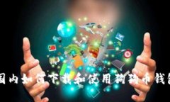 国内如何下载和使用狗狗