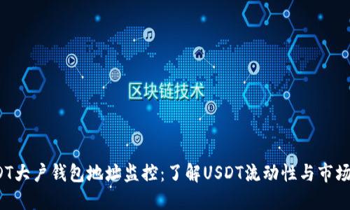 USDT大户钱包地址监控：了解USDT流动性与市场动向