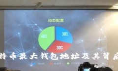 揭秘比特币最大钱包地址