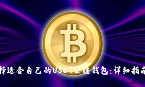 如何选择适合自己的USDT公链钱包：详细指南与推荐