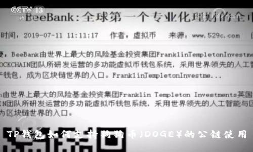 TP钱包如何支持狗狗币（DOGE）的公链使用