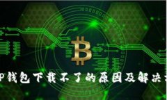 : TP钱包下载不了的原因及