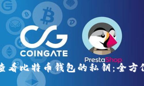 如何查看比特币钱包的私钥：全方位指南