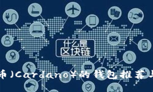 支持艾达币（Cardano）的钱包推荐与使用指南