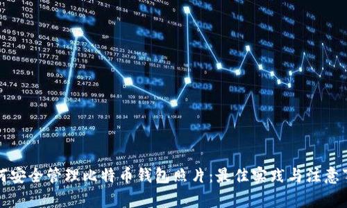 如何安全管理比特币钱包照片：最佳实践与注意事项