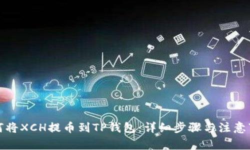 如何将XCH提币到TP钱包：详细步骤与注意事项