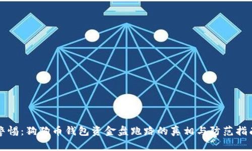 警惕：狗狗币钱包资金盘跑路的真相与防范指南