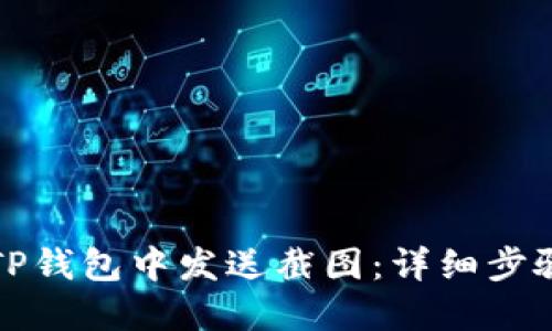 如何在TP钱包中发送截图：详细步骤与技巧