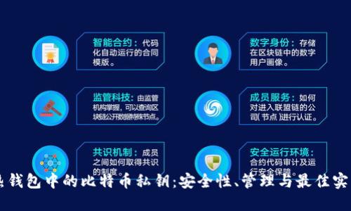 热钱包中的比特币私钥：安全性、管理与最佳实践