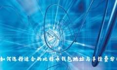  如何选择适合的比特币钱