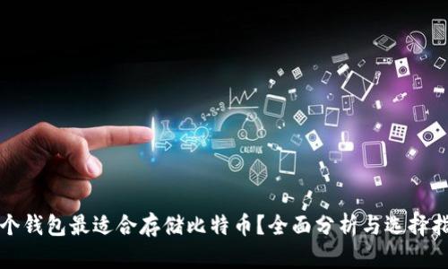 哪个钱包最适合存储比特币？全面分析与选择指南