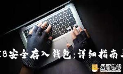 如何将SHIB安全存入钱包：详细指南与实用技巧