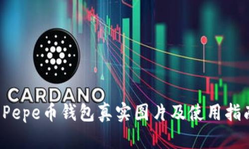  Pepe币钱包真实图片及使用指南