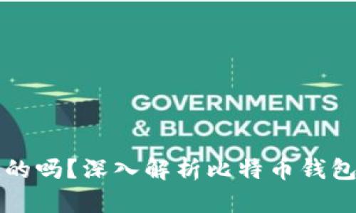 比特币钱包是固定的吗？深入解析比特币钱包的类型与使用方法