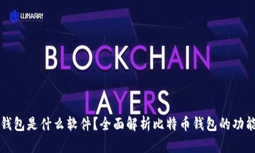 比特币钱包是什么软件？全面解析比特币钱包的功能与类型