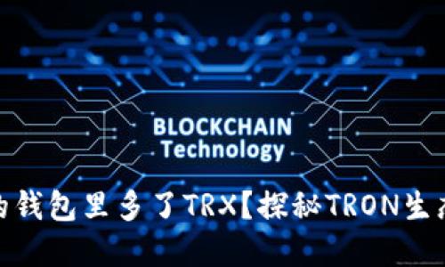 : 为什么我的钱包里多了TRX？探秘TRON生态与空投现象