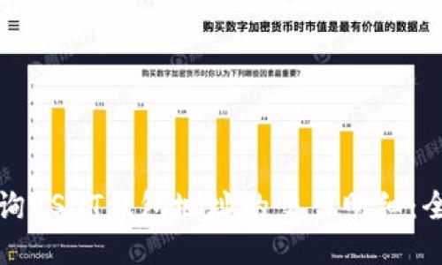 如何查询USDT钱包地址的交易明细：全面指南