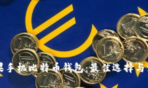 国内苹果手机比特币钱包：最佳选择与使用指南