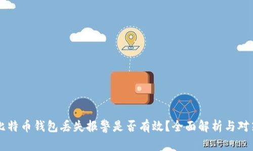 比特币钱包丢失报警是否有效？全面解析与对策