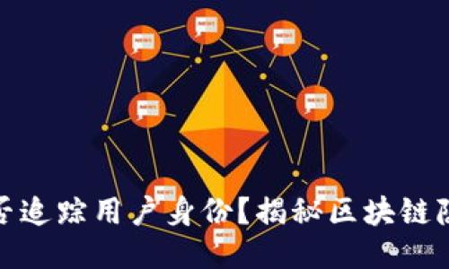 TP钱包能否追踪用户身份？揭秘区块链隐私与安全