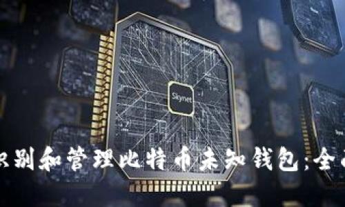 如何识别和管理比特币未知钱包：全面指南