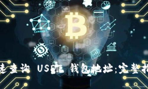 : 如何快速查询 USDT 钱包地址：完整指南与技巧