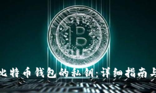 如何找到比特币钱包的私钥：详细指南与安全策略