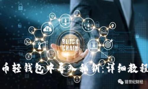 如何在比特币轻钱包中导入私钥：详细教程与最佳实践