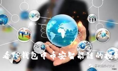 如何查看TP钱包中币安智能链的授权记录？