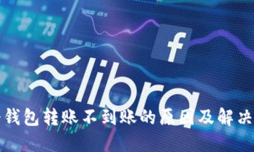 TP冷钱包转账不到账的原因及解决方案