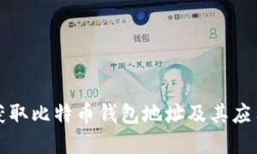如何获取比特币钱包地址及其应用详解