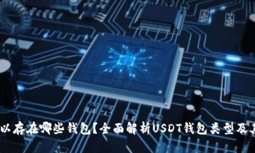 USDT可以存在哪些钱包？全面解析USDT钱包类型及其安全性