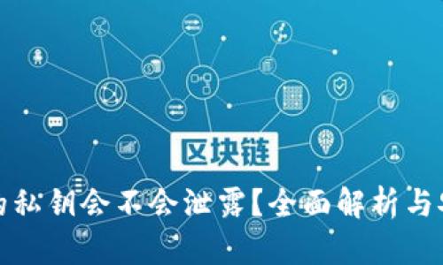 TP钱包的私钥会不会泄露？全面解析与安全建议