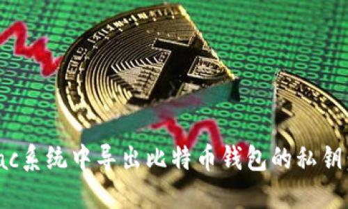 如何在Mac系统中导出比特币钱包的私钥：详细指南
