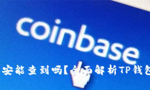 TP钱包安全吗？公安能查到吗？全面解析TP钱包的隐私与安全性