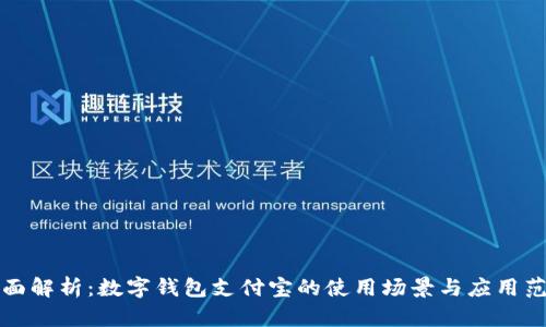 全面解析：数字钱包支付宝的使用场景与应用范围
